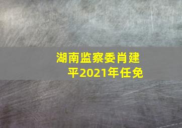 湖南监察委肖建平2021年任免