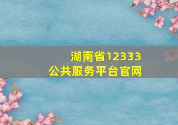 湖南省12333公共服务平台官网