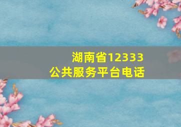 湖南省12333公共服务平台电话