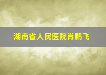 湖南省人民医院肖鹏飞