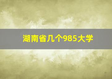 湖南省几个985大学