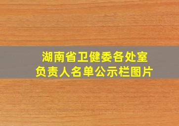 湖南省卫健委各处室负责人名单公示栏图片