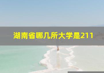 湖南省哪几所大学是211