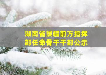 湖南省援疆前方指挥部任命骨干干部公示