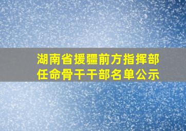 湖南省援疆前方指挥部任命骨干干部名单公示