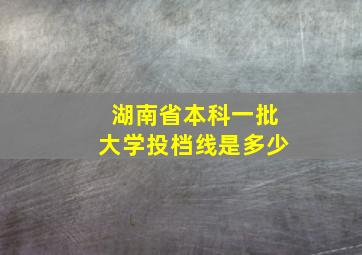 湖南省本科一批大学投档线是多少