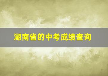 湖南省的中考成绩查询