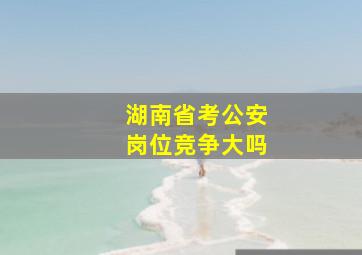 湖南省考公安岗位竞争大吗