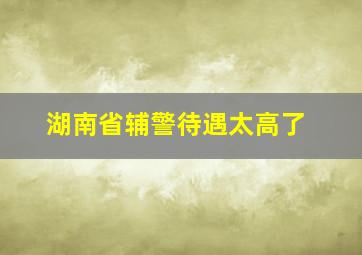 湖南省辅警待遇太高了