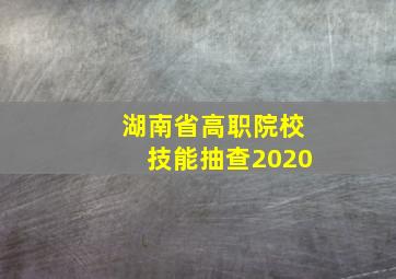 湖南省高职院校技能抽查2020