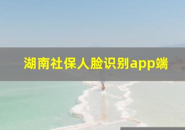 湖南社保人脸识别app端