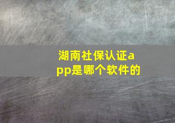 湖南社保认证app是哪个软件的