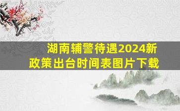 湖南辅警待遇2024新政策出台时间表图片下载