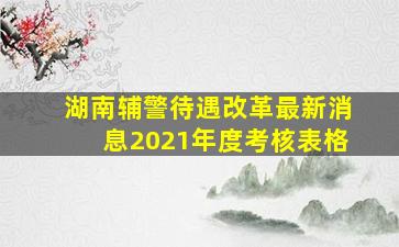 湖南辅警待遇改革最新消息2021年度考核表格