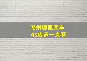 湖州哪里买车4s店多一点啊