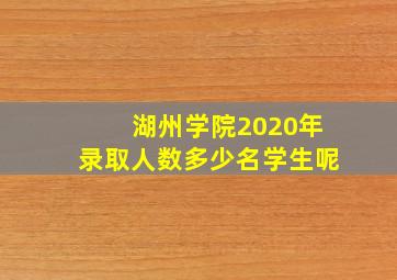 湖州学院2020年录取人数多少名学生呢