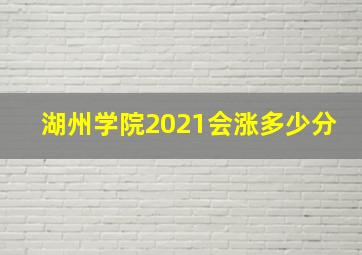 湖州学院2021会涨多少分