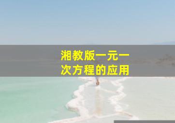 湘教版一元一次方程的应用