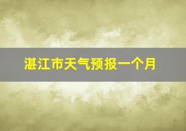 湛江市天气预报一个月