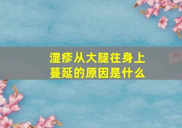 湿疹从大腿往身上蔓延的原因是什么