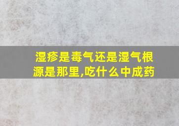 湿疹是毒气还是湿气根源是那里,吃什么中成药