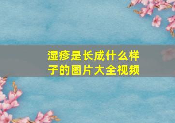 湿疹是长成什么样子的图片大全视频