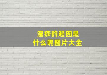 湿疹的起因是什么呢图片大全