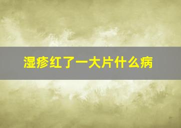 湿疹红了一大片什么病