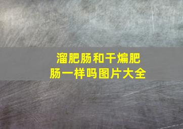 溜肥肠和干煸肥肠一样吗图片大全