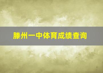 滕州一中体育成绩查询