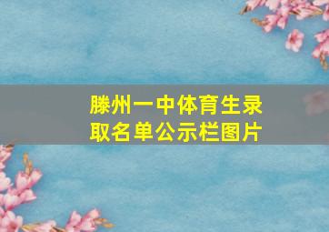 滕州一中体育生录取名单公示栏图片