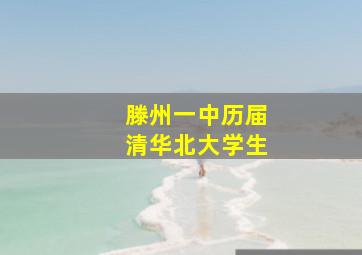 滕州一中历届清华北大学生