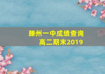 滕州一中成绩查询高二期末2019