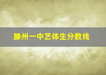 滕州一中艺体生分数线