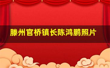 滕州官桥镇长陈鸿鹏照片