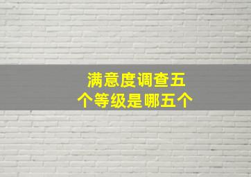 满意度调查五个等级是哪五个