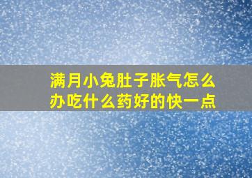 满月小兔肚子胀气怎么办吃什么药好的快一点