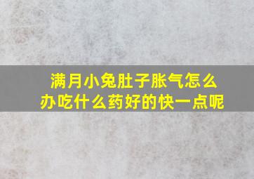 满月小兔肚子胀气怎么办吃什么药好的快一点呢