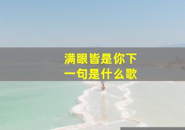 满眼皆是你下一句是什么歌