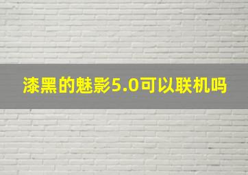 漆黑的魅影5.0可以联机吗