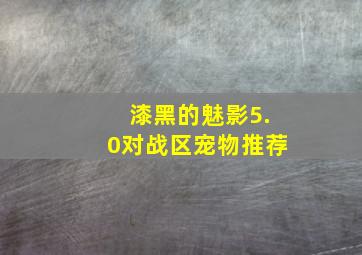 漆黑的魅影5.0对战区宠物推荐