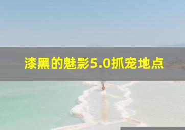 漆黑的魅影5.0抓宠地点