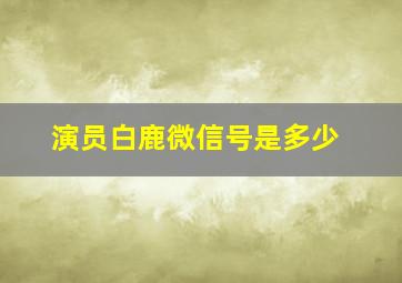 演员白鹿微信号是多少