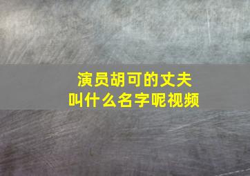 演员胡可的丈夫叫什么名字呢视频