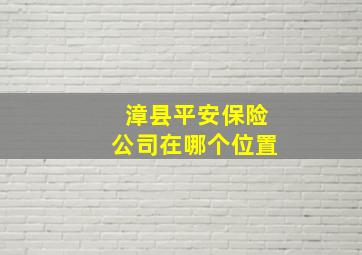 漳县平安保险公司在哪个位置