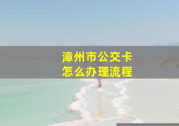 漳州市公交卡怎么办理流程