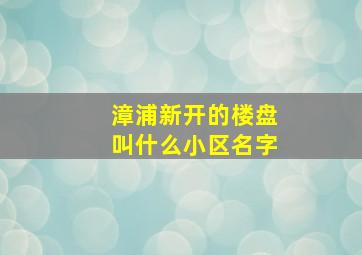 漳浦新开的楼盘叫什么小区名字