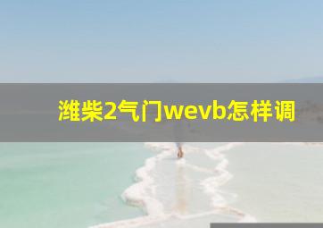 潍柴2气门wevb怎样调