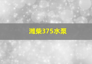 潍柴375水泵