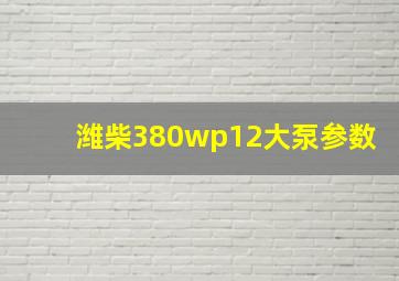 潍柴380wp12大泵参数